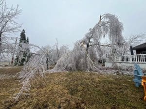 Thunder Bay construction company joins recovery efforts after ice storm hits Southern Ontario