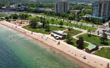 Public invited to shape design of Centennial Park food and activity hub in Barrie